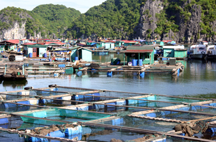 ung dung pin nang luong mat troi, pin nang luong mat troi, pin mat troi